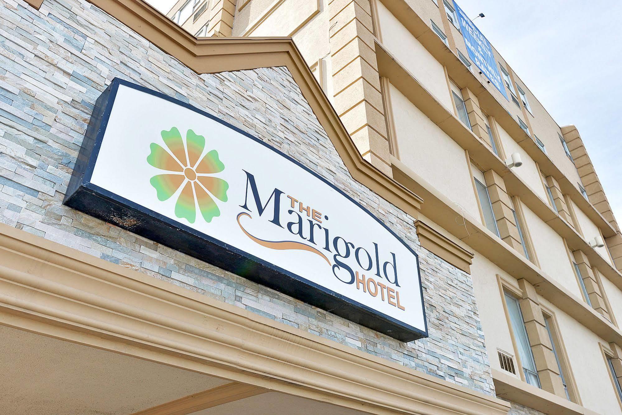 ברמפטון The Marigold Hotel מראה חיצוני תמונה